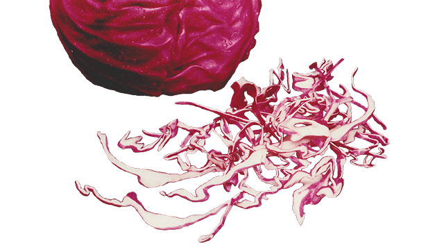 red cabbage flat slice cc