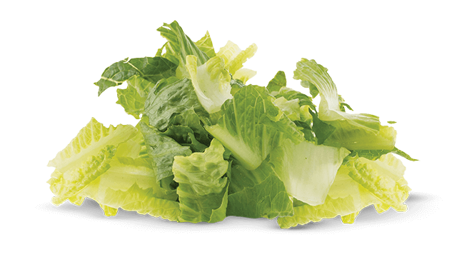 romaine lettuce chopped squared