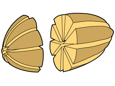 segment types of cuts
