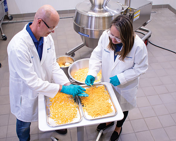test lab cheese shreds