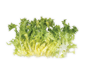 whole endive frisee lettuce 1