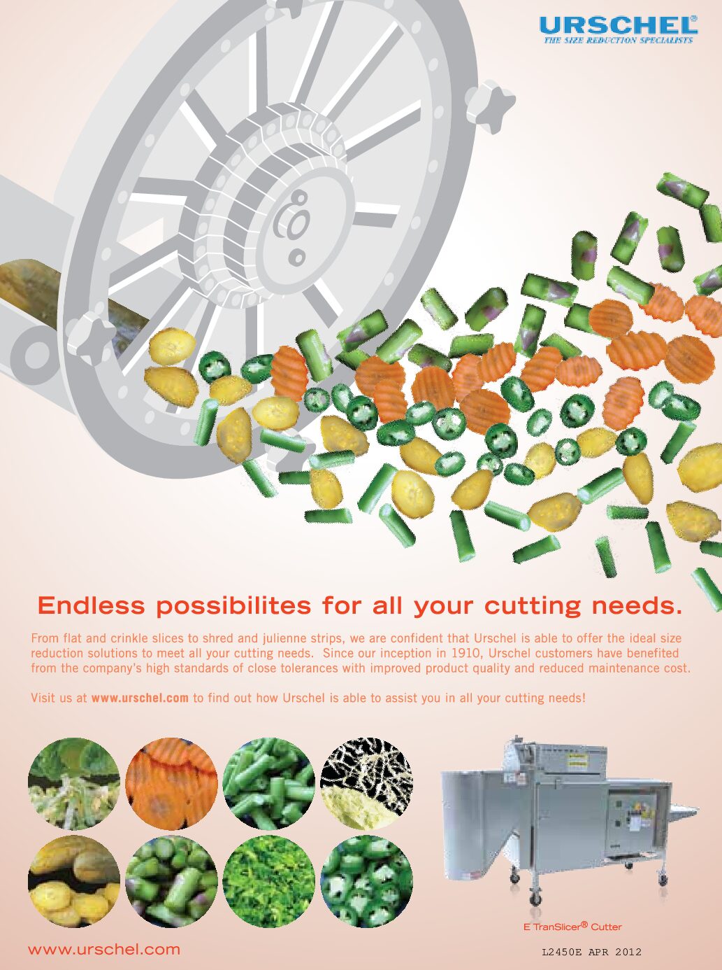 ad reprint e translicer endless possibilities english pdf