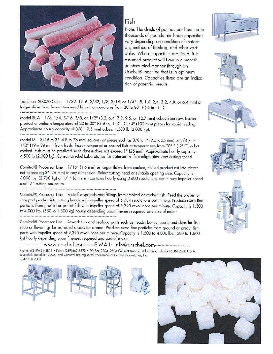 ad reprint fish ad english pdf