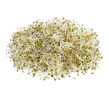 ca whole alfalfa