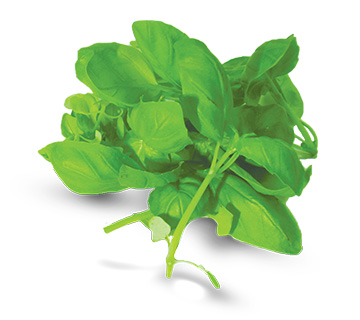 ca whole basil