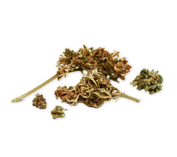 ca whole cannabis hemp