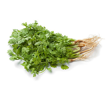 ca whole cilantro