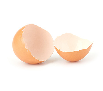 ca whole egg shells