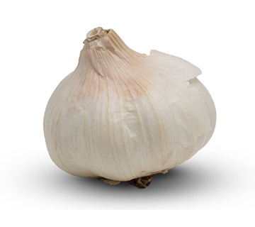ca whole garlic