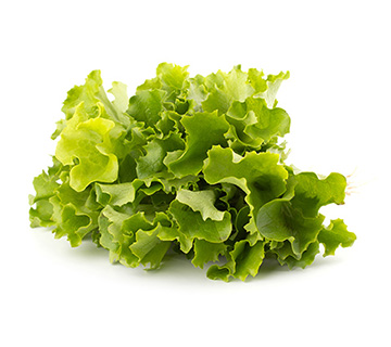 ca whole lettuce
