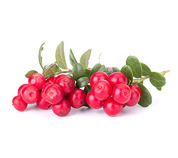ca whole lingonberries