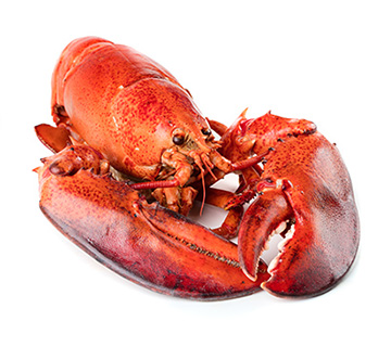 ca whole lobster