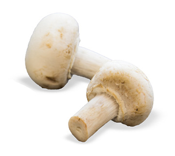 ca whole mushroom