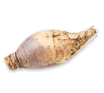 ca whole rutabaga