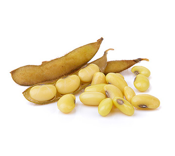 ca whole soy bean