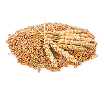 ca whole wheat