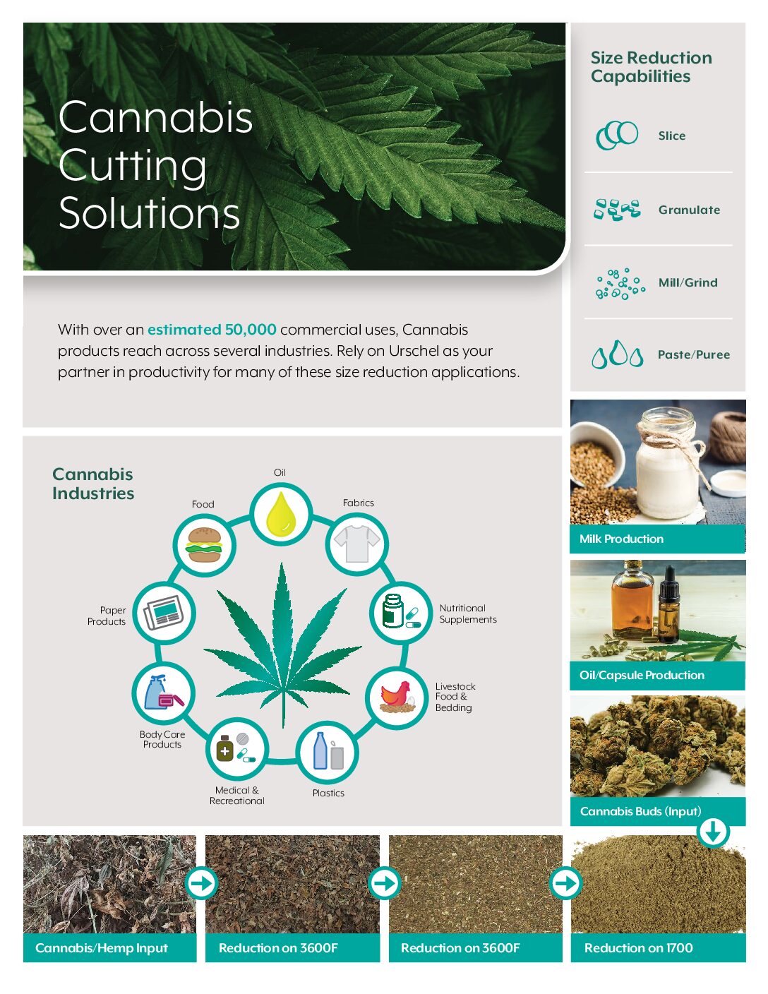 cutting solution cannabis english pdf