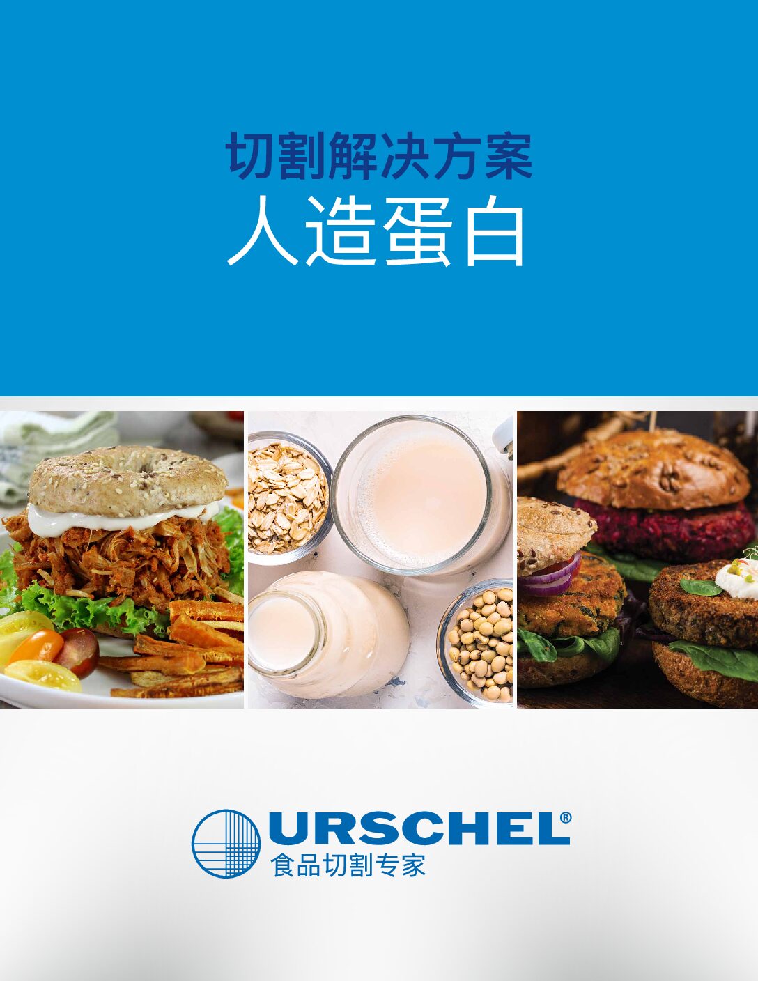 cutting solutions alternative protein chinese pdf