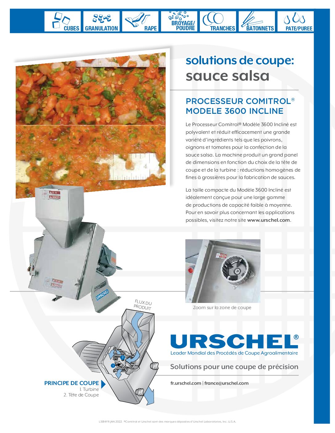 cutting solutions salsa french pdf
