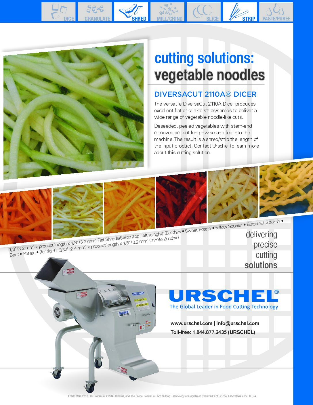 cutting solutions vegetable noodles english pdf