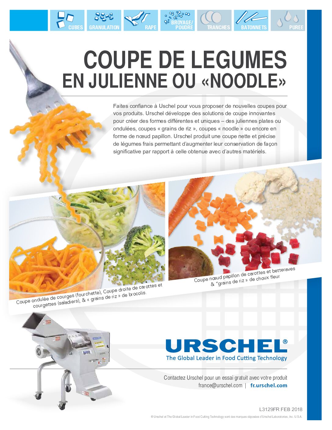 cutting solutions vegetable noodles french pdf