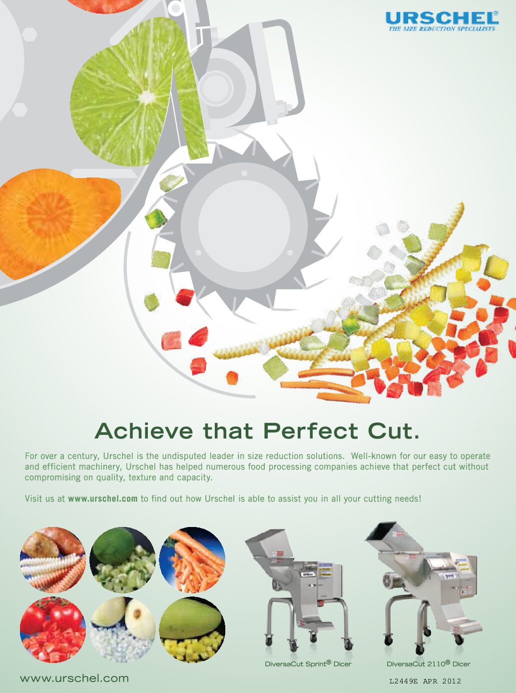 e reprint uap achieve perfect cut english pdf