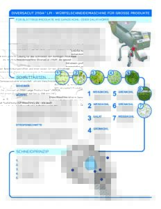 fact sheet diversacut 2110a lpi german pdf