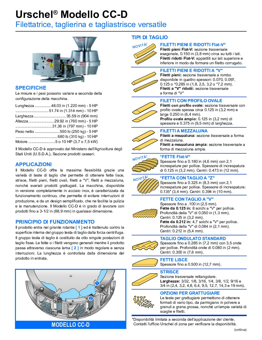 fact sheet model ccd italian pdf