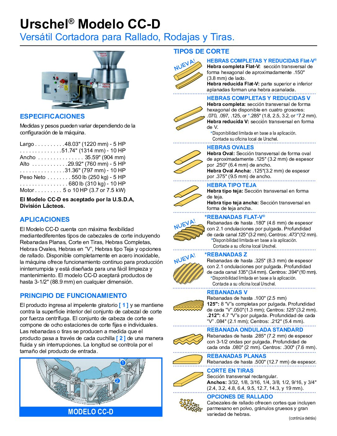 fact sheet model ccd spanish pdf