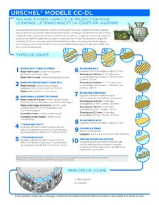 fact sheet model ccdl french pdf