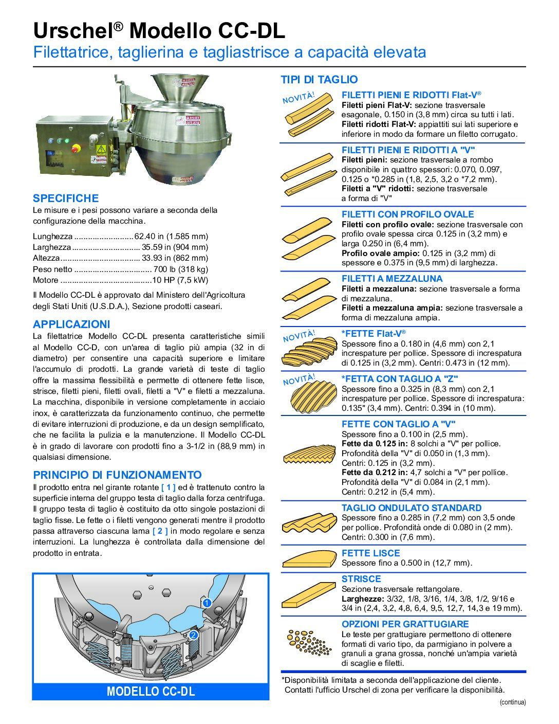 fact sheet model ccdl italian pdf