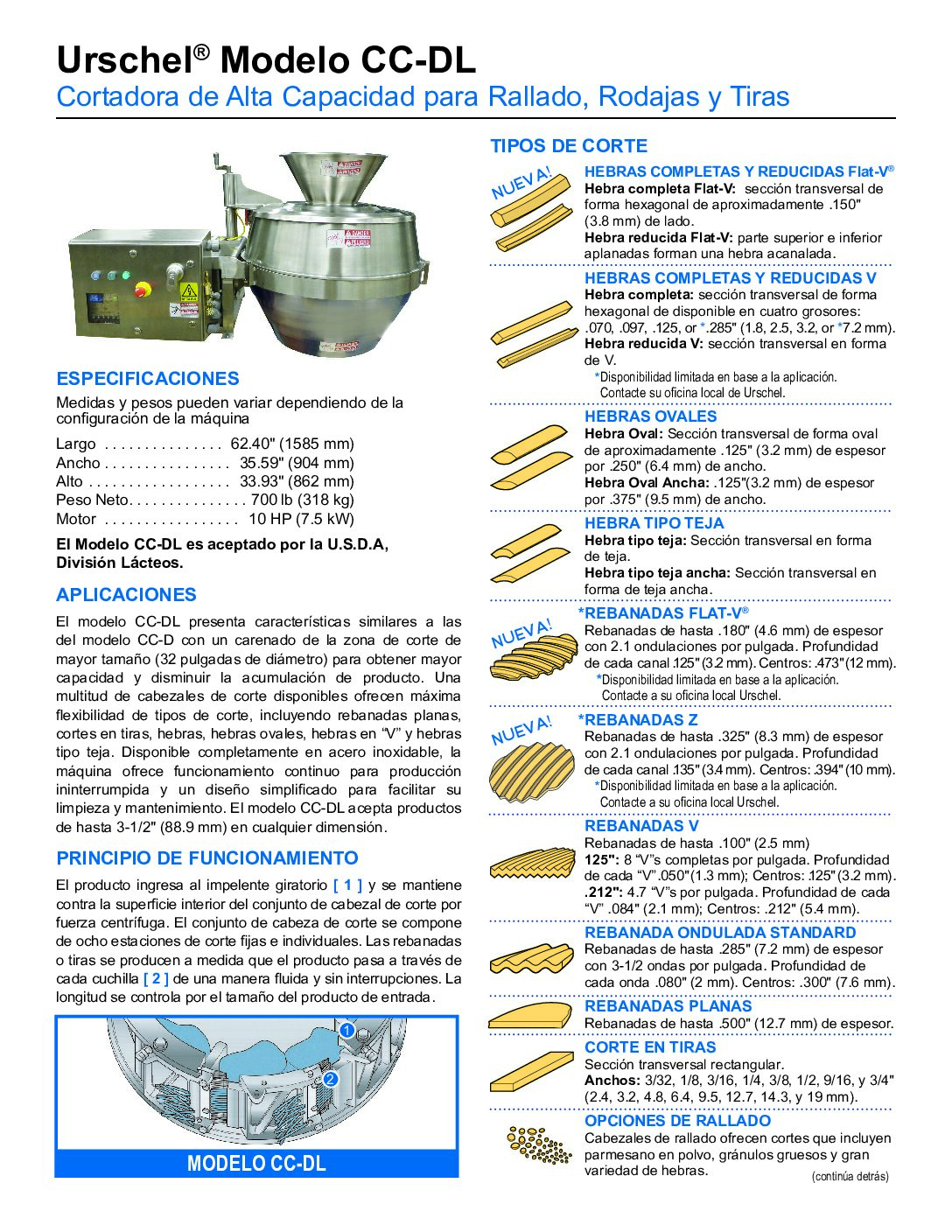 fact sheet model ccdl spanish pdf