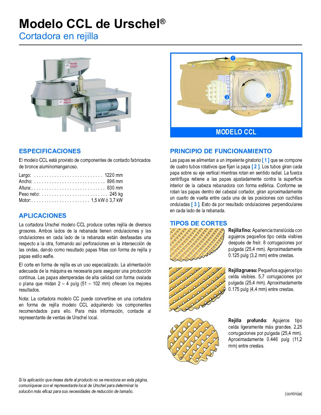 fact sheet model ccl spanish pdf