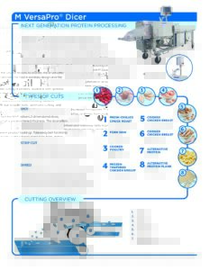 fact sheet mversapro english pdf
