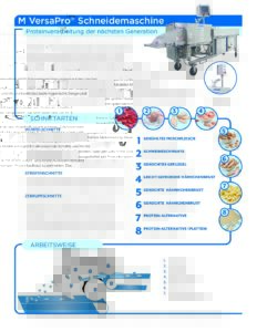 fact sheet mversapro pdf