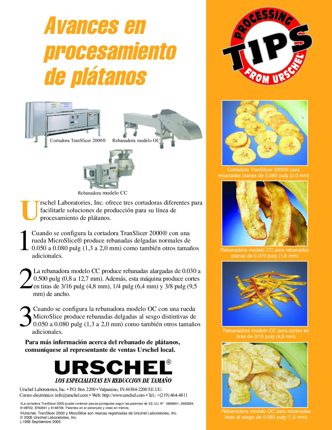 processing tips plantain spanish pdf