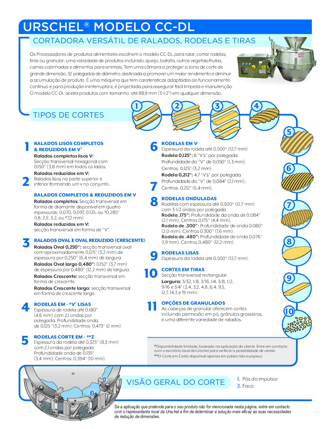 fact sheet model cc dl portuguese pdf