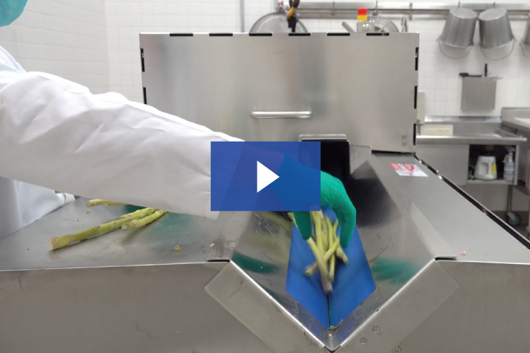test cut e translicer asparagus cover image