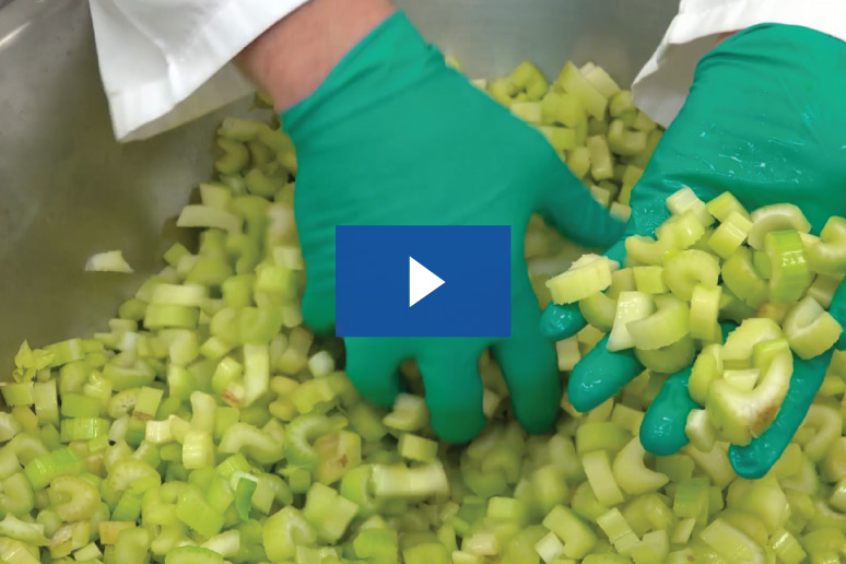 etrs celery slice