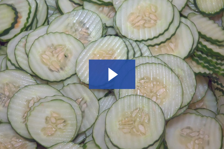 etrs cucumber crinkle slice