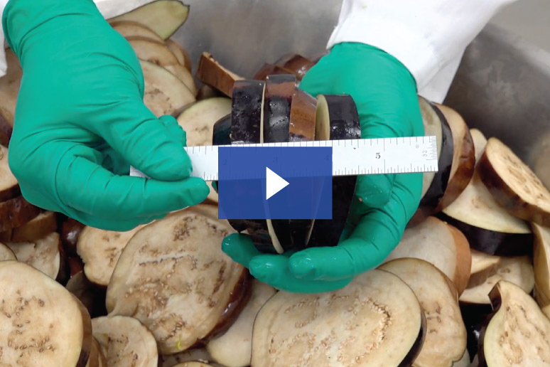etrs eggplant slice