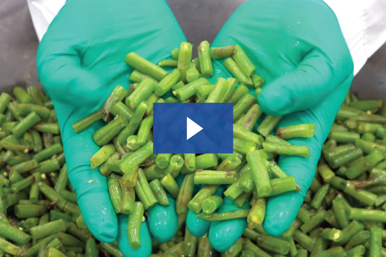 etrs green bean slice