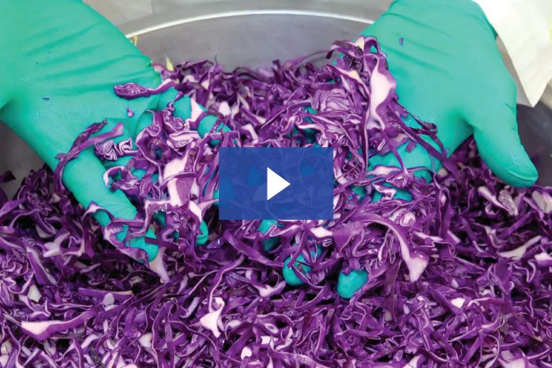 etrs red cabbage shred