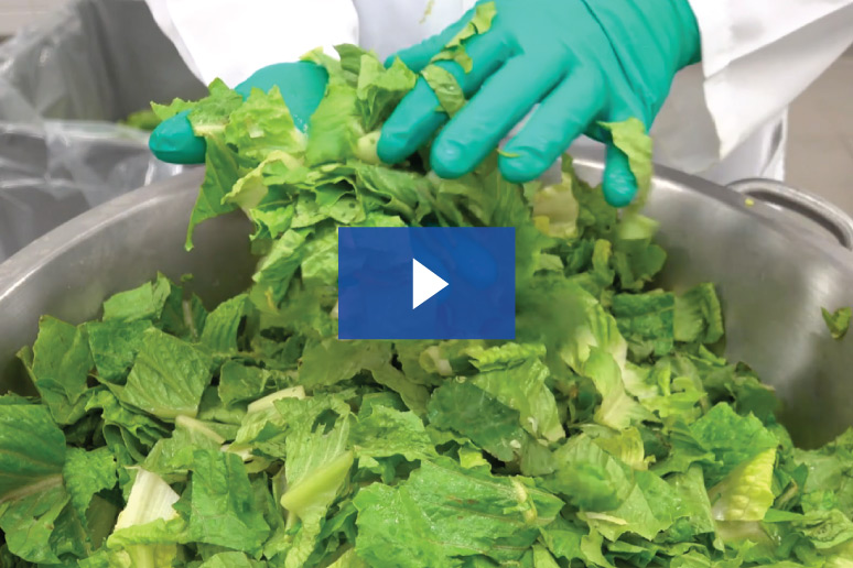 etrs romaine lettuce chop