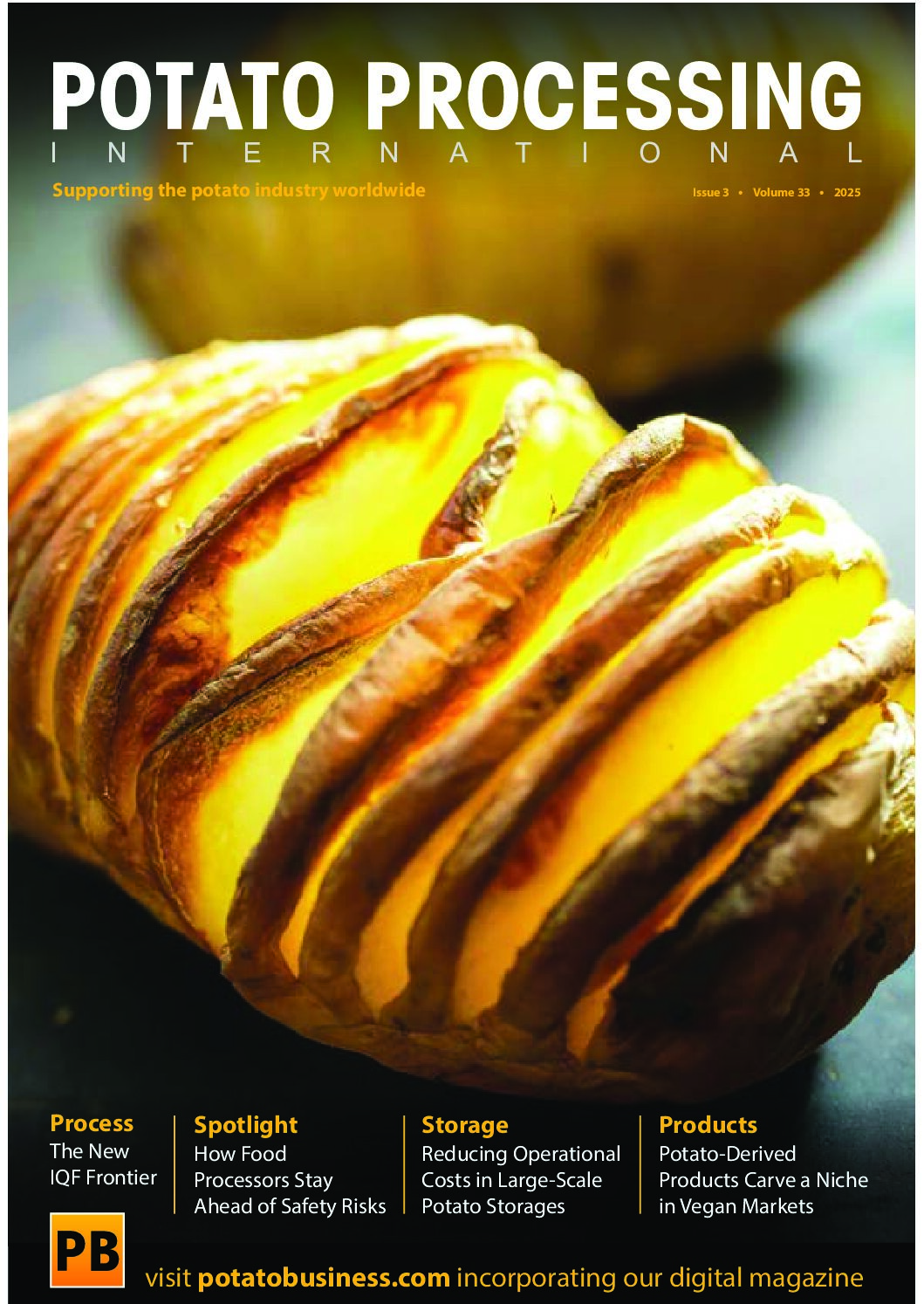 article reprint potato processing KRONEN june2025 english pdf