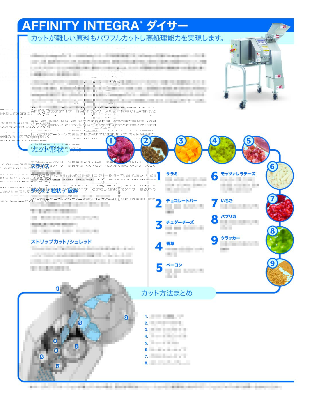 fact sheet affinity integra japanese pdf