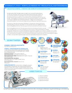 fact sheet diversacut 2110A with conveyor german pdf