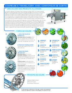 fact sheet e translicer french pdf