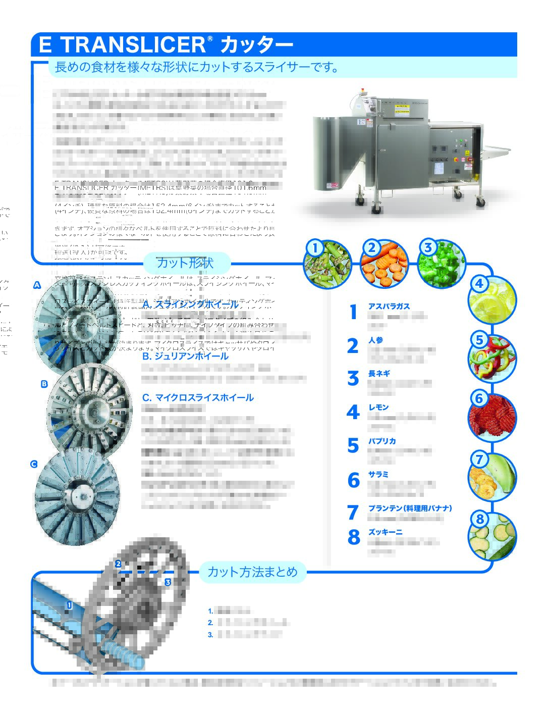 fact sheet etranslicer japanese pdf
