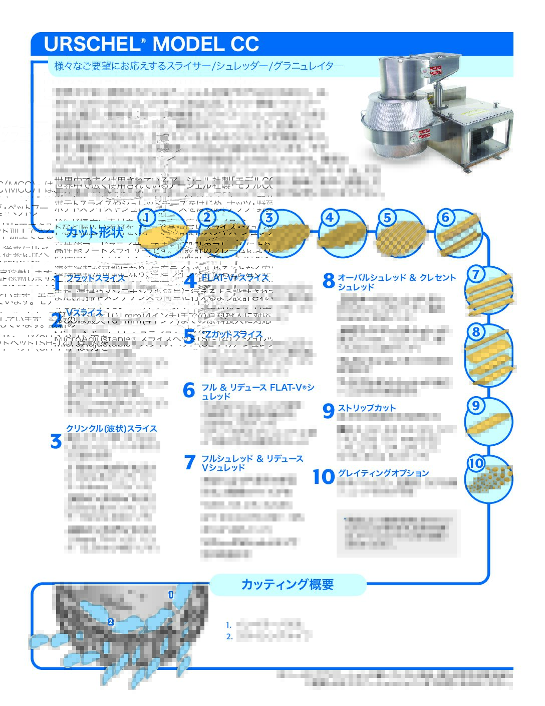 fact sheet model cc japanese pdf